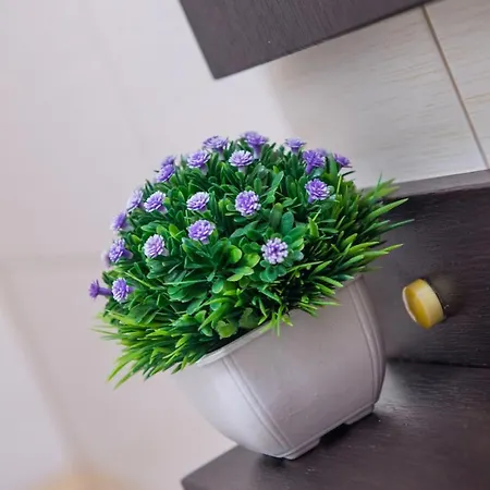 Comfortable In 모스타르