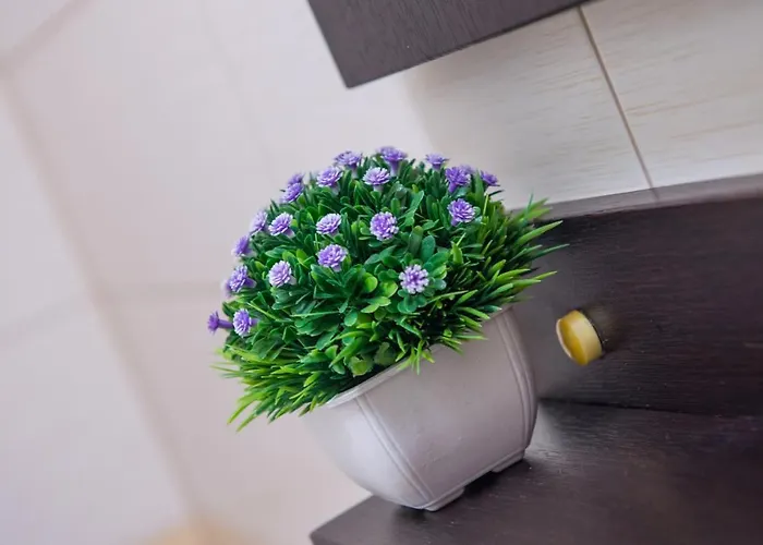 Comfortable In Mostar